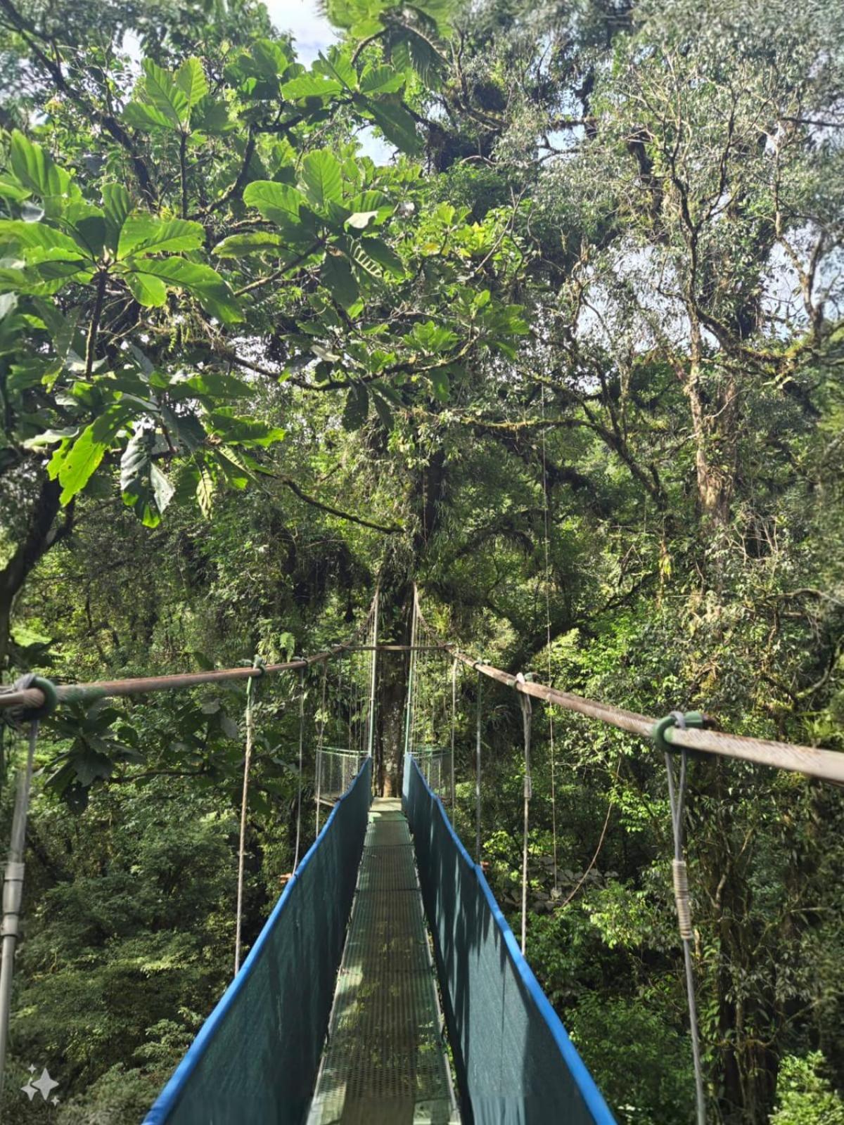 ביחגואה Heliconias Rainforest Lodge מראה חיצוני תמונה