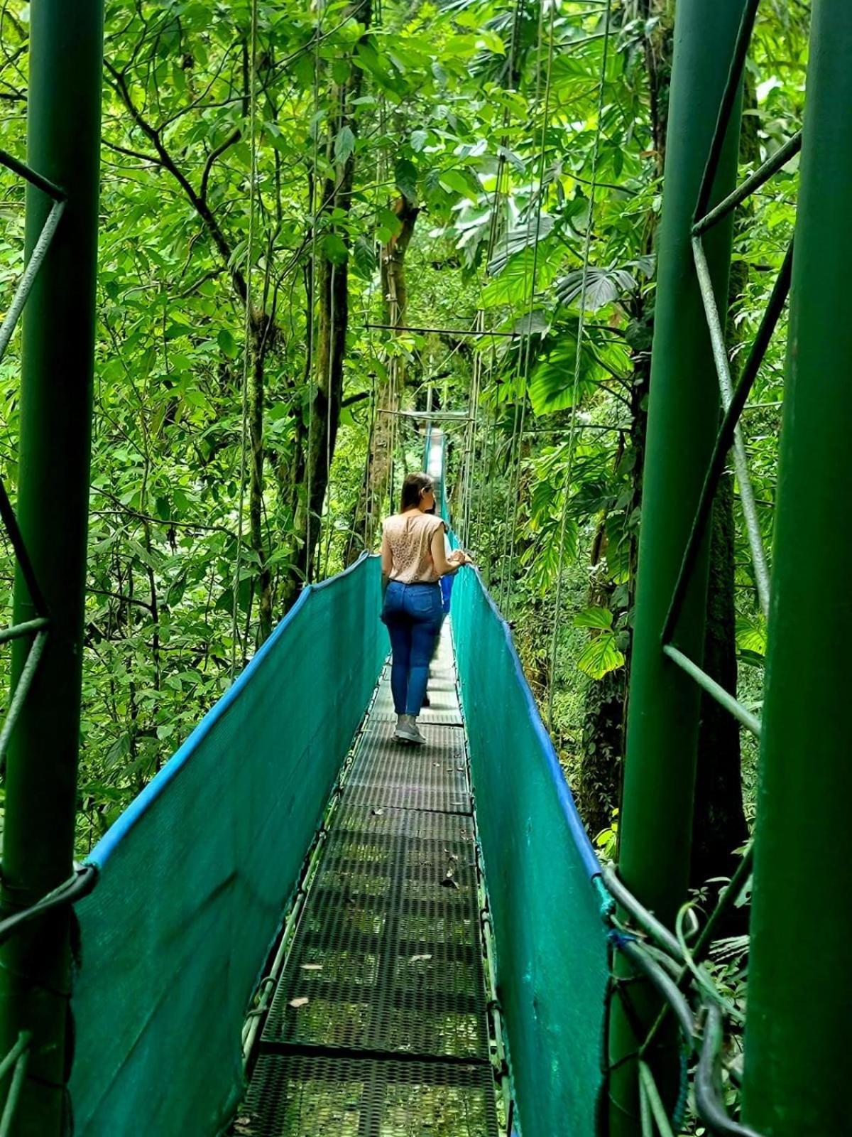 ביחגואה Heliconias Rainforest Lodge מראה חיצוני תמונה
