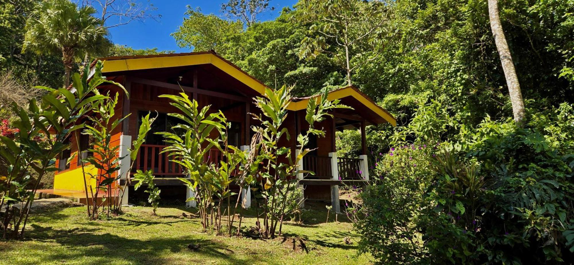 ביחגואה Heliconias Rainforest Lodge מראה חיצוני תמונה