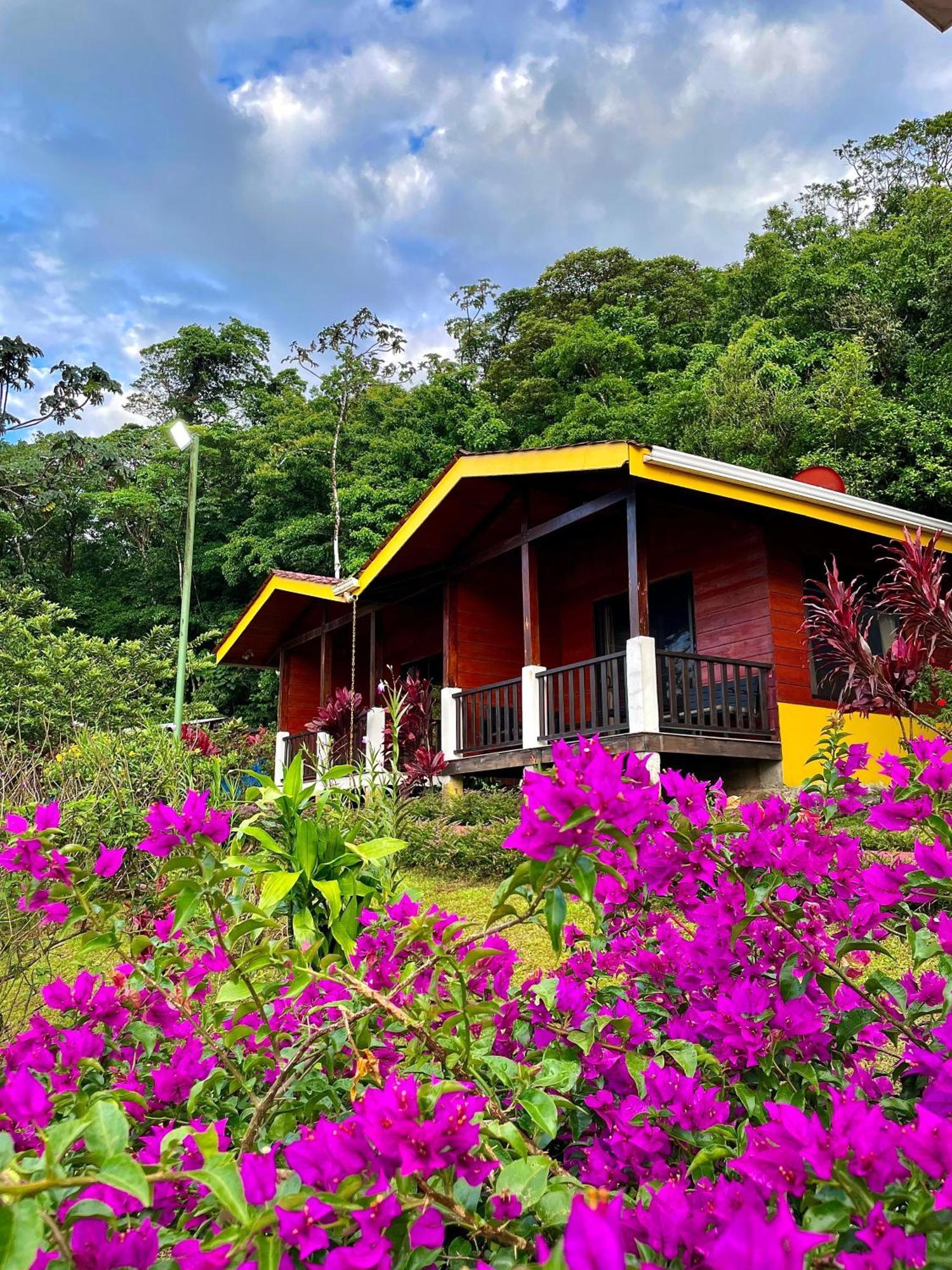 ביחגואה Heliconias Rainforest Lodge מראה חיצוני תמונה