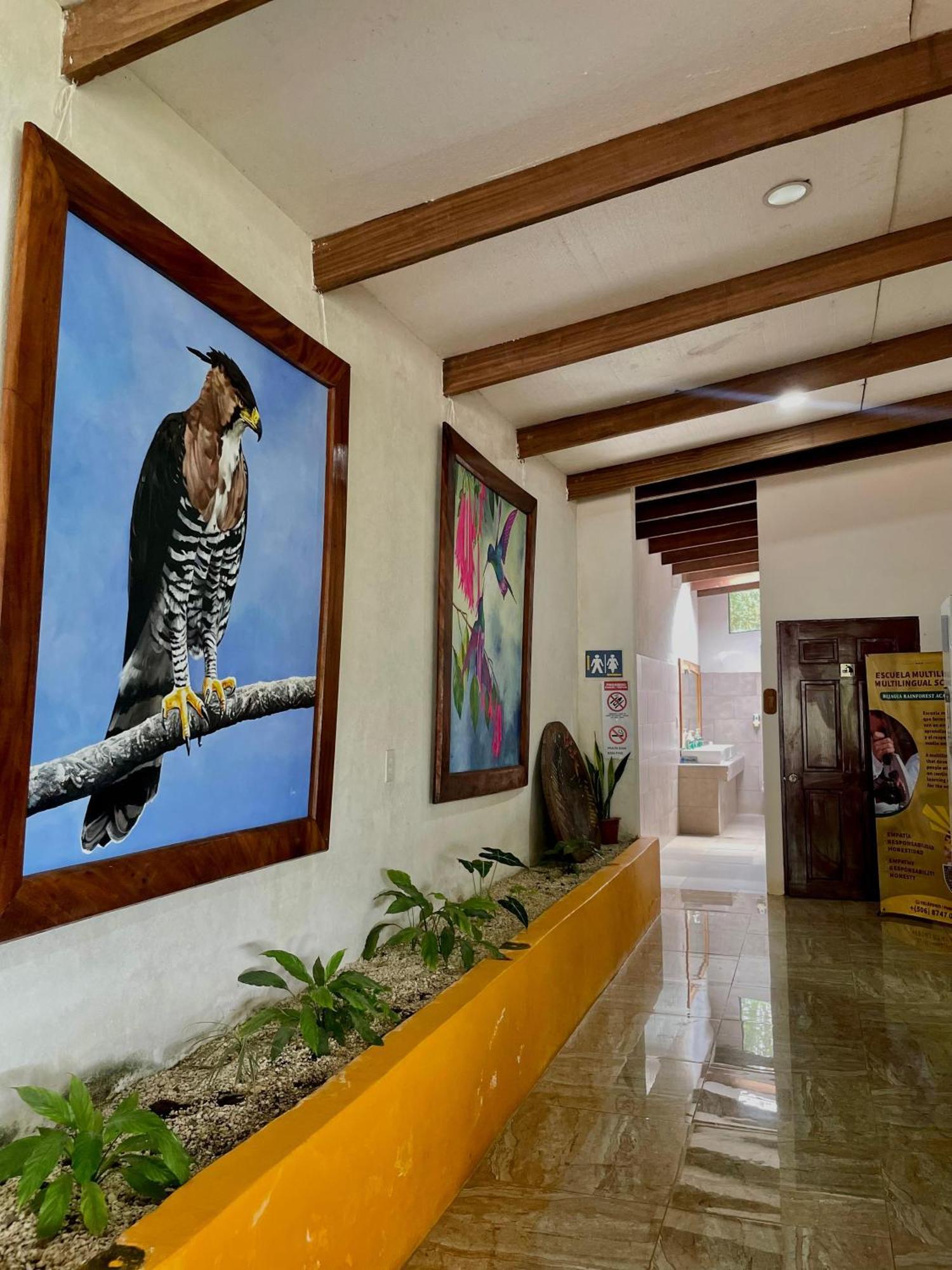 ביחגואה Heliconias Rainforest Lodge מראה חיצוני תמונה