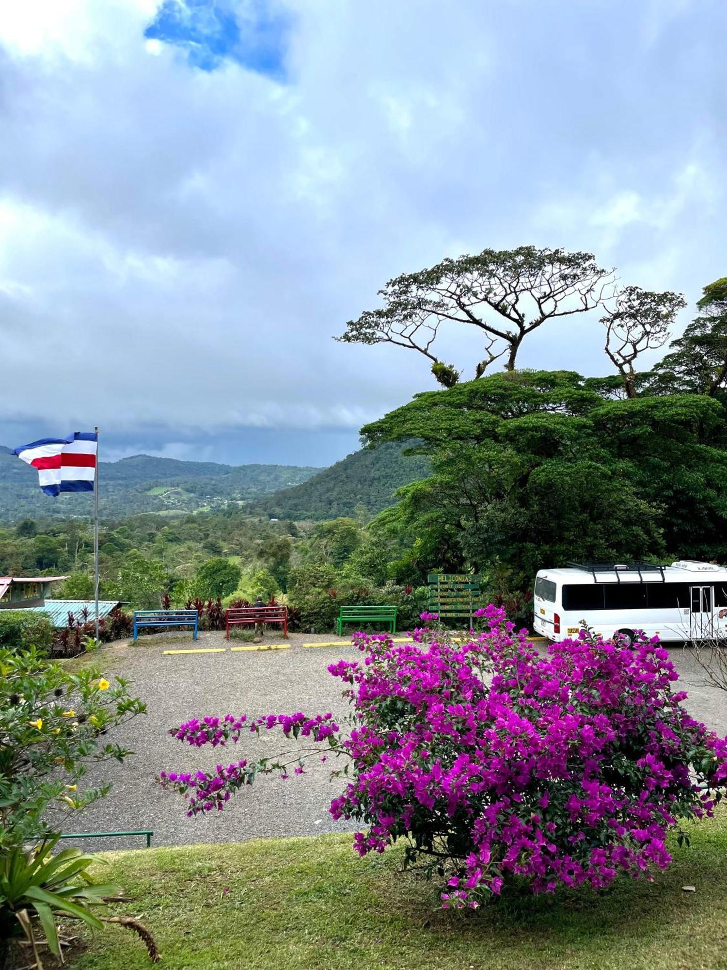 ביחגואה Heliconias Rainforest Lodge מראה חיצוני תמונה