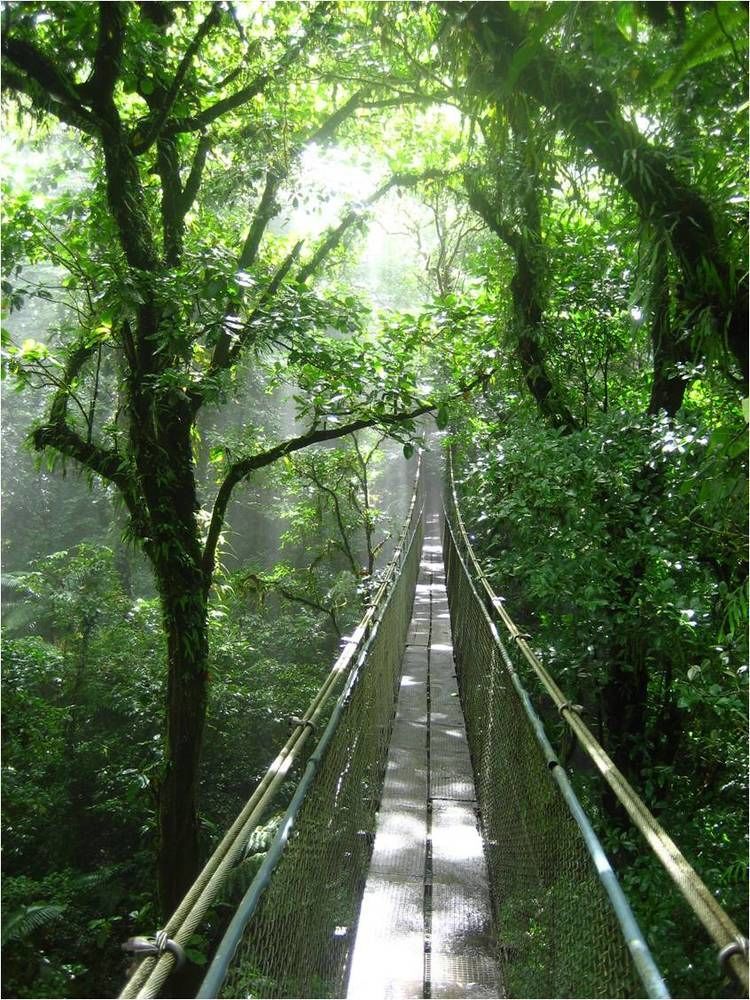 ביחגואה Heliconias Rainforest Lodge מראה חיצוני תמונה