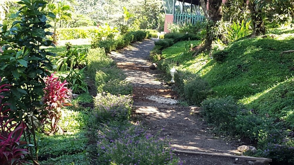 ביחגואה Heliconias Rainforest Lodge מראה חיצוני תמונה