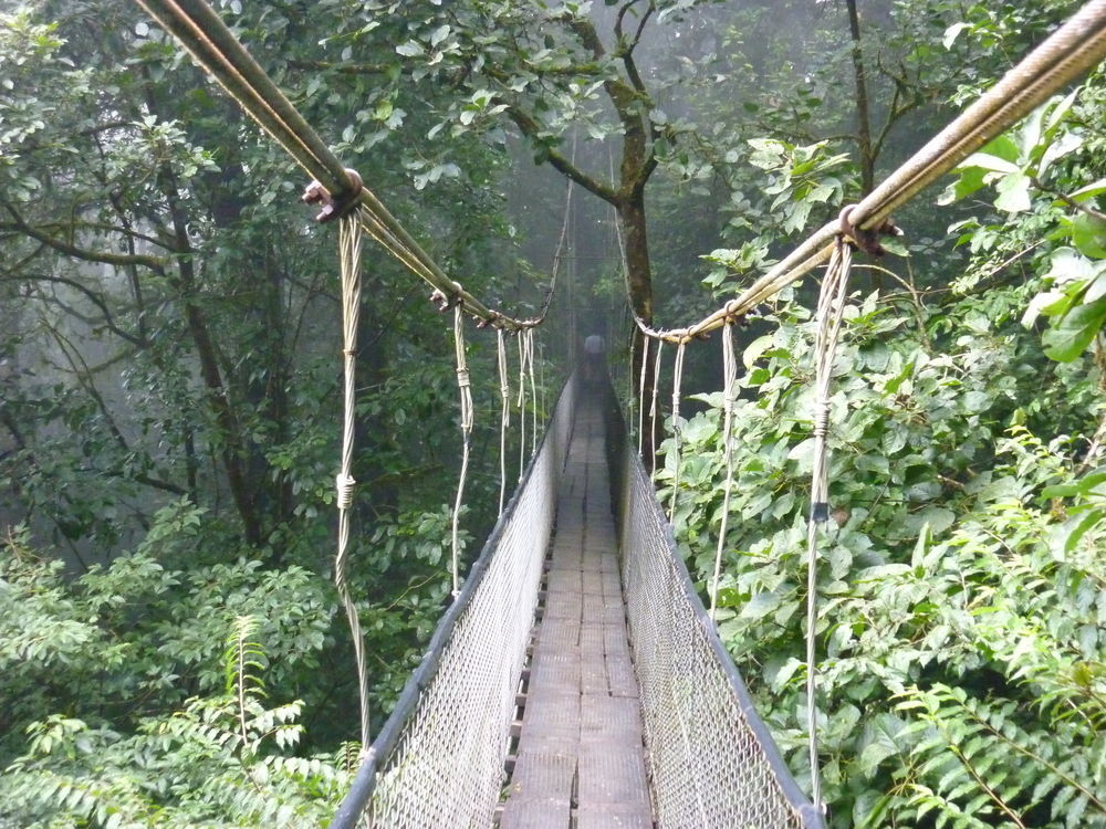ביחגואה Heliconias Rainforest Lodge מראה חיצוני תמונה